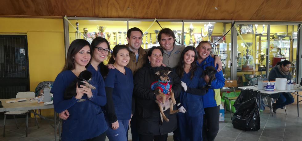 Programa Mascota Protegida Financia Cuatro Mil Esterilizaciones En San Pedro De La Paz Subdere