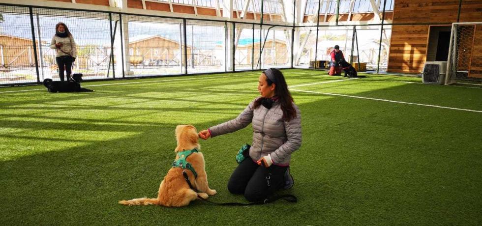 Vecinos de Cabo de Hornos participaron en taller de educación y entrenamiento para perros Vecinos de Cabo de Hornos participaron en taller de educación y entrenamiento para perros
