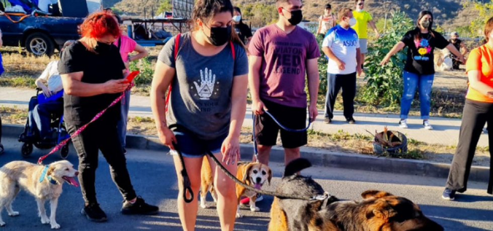 Más 100 mascotas fueron protagonistas en la corrida familiar de aniversario en Curacaví Más 100 mascotas fueron protagonistas en la corrida familiar de aniversario en Curacaví