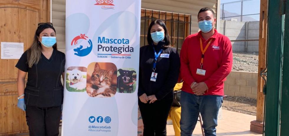 Más de $338 millones se han ejecutado en Atacama para promover la tenencia responsable de mascotas Más de $338 millones se han ejecutado en Atacama para promover la tenencia responsable de mascotas