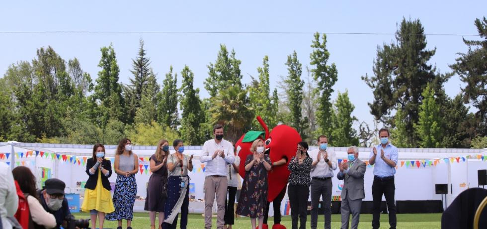 Subdere ha financiado más de 900 plazas con máquinas de ejercicios en todo Chile para promover la vida sana