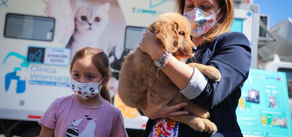 Primer estudio de población animal en Chile revela que hay 12 millones de perros y gatos con dueños y 4 millones sin supervisión Primer estudio de población animal en Chile revela que hay 12 millones de perros y gatos con dueños y 4 millones sin supervisión