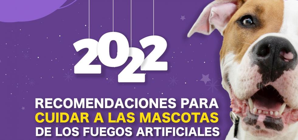 Consejos para proteger a tu mascota de los fuegos artificiales Consejos para proteger a tu mascota de los fuegos artificiales
