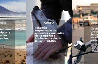 Más de 3 mil personas comenzaron los cursos sobre diseño urbano, turismo y tenencia responsable de mascotas