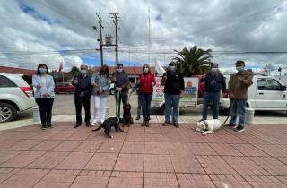 700 mascotas de San Nicolás serán beneficiadas gracias a financiamiento de la Subdere