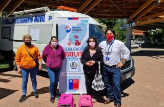 Mil mascotas serán esterilizadas en Paillaco gracias a financiamiento de Subdere
