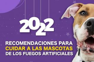 Consejos para proteger a tu mascota de los fuegos artificiales